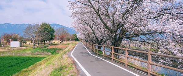 安曇野の遊歩道